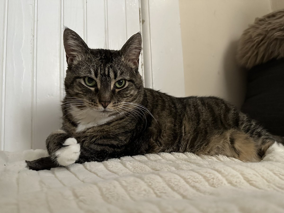 Clem prepping for an evening of being a queen.