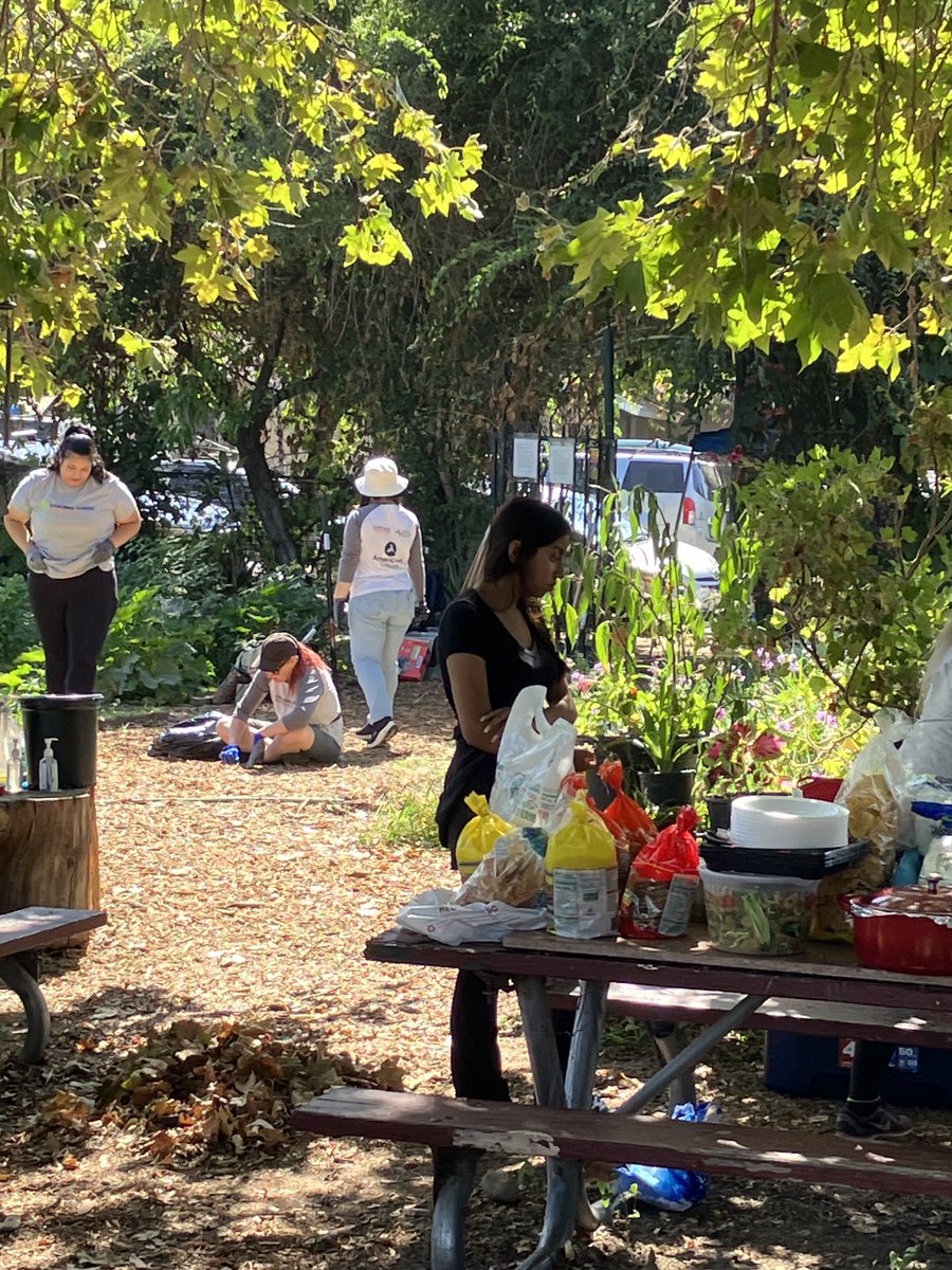 Marianne Zaugg tweet media