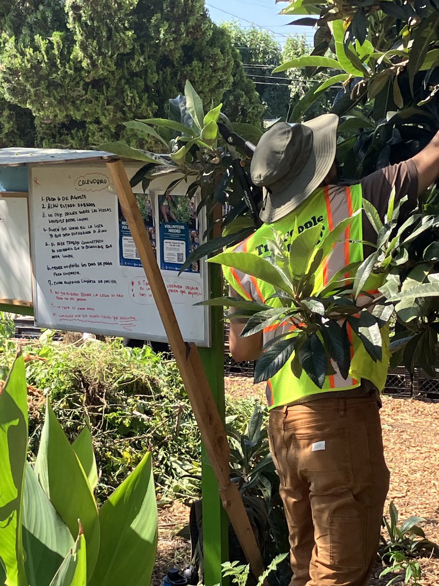 Marianne Zaugg tweet media