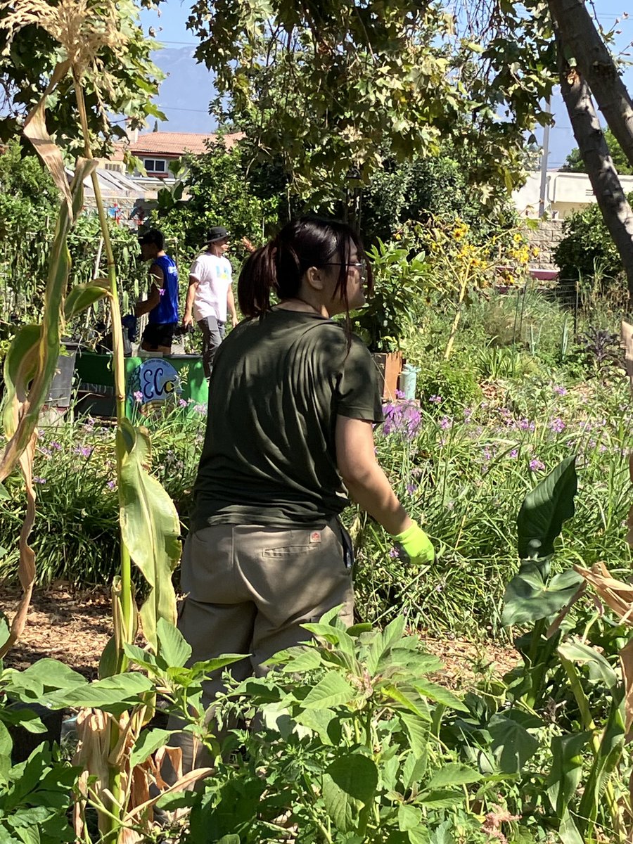 Marianne Zaugg tweet media