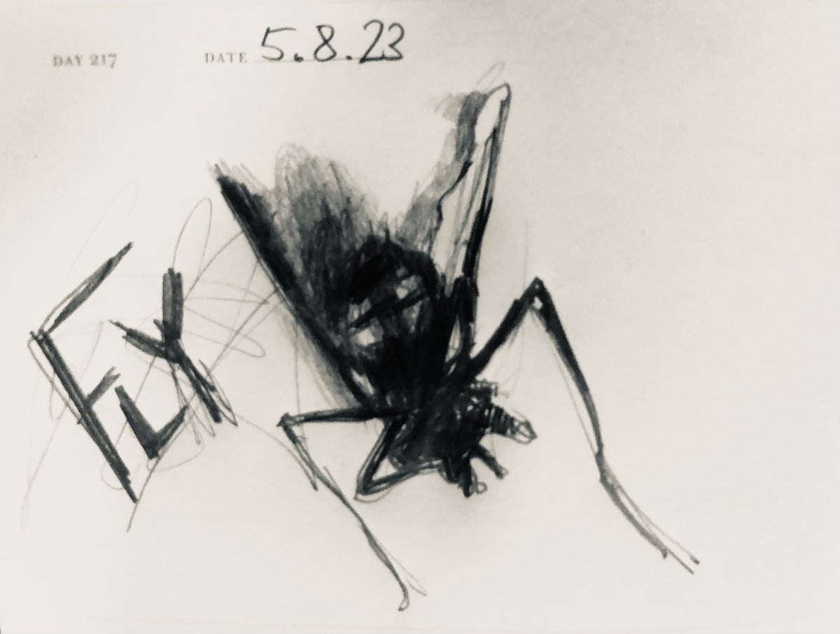 Venster67's tweet photo. One Sketch A Day 5.8.23
‘Fly’
#fly #deadfly #quickflystudy #insects #nature #onesketchaday #sketchbook #visualdiary #art #illustration #pencilsketch https://t.co/m14F201hSq