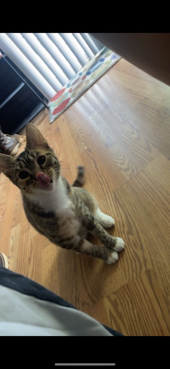 ZookeeperTanner's tweet photo. Everyone, I’d like to introduce Suma B. Laskowski. https://t.co/c1OzxUZ5xC