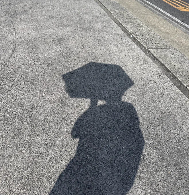 日傘涼しい!