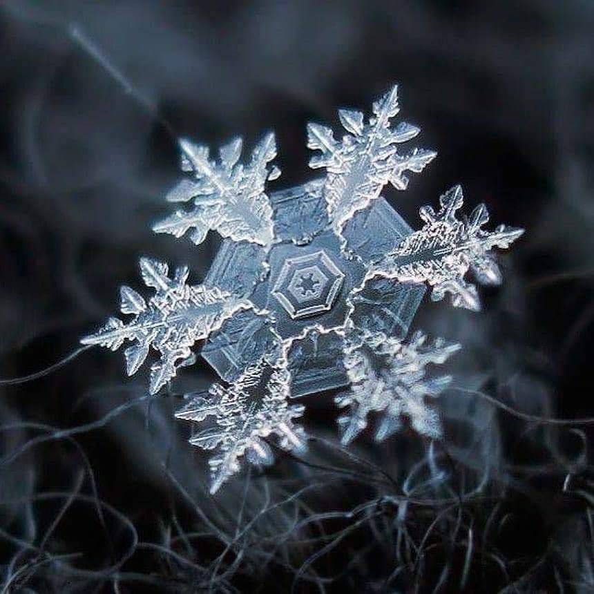 InformaCosmos's tweet photo. Macrofotografía de un copo de nieve. ❄ https://t.co/W6v8nLwI3S