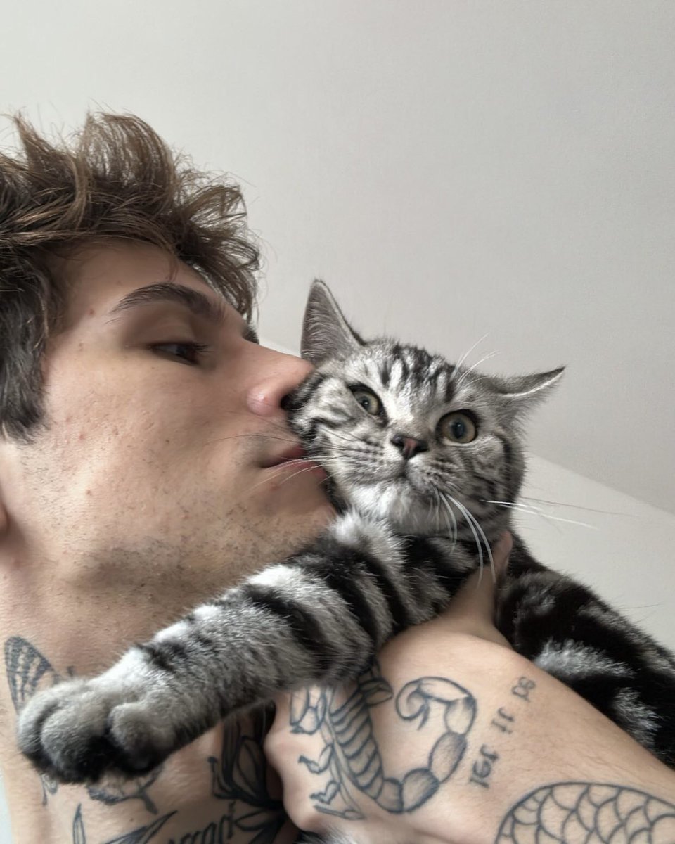 tardezinha com preguiça e pedrinho