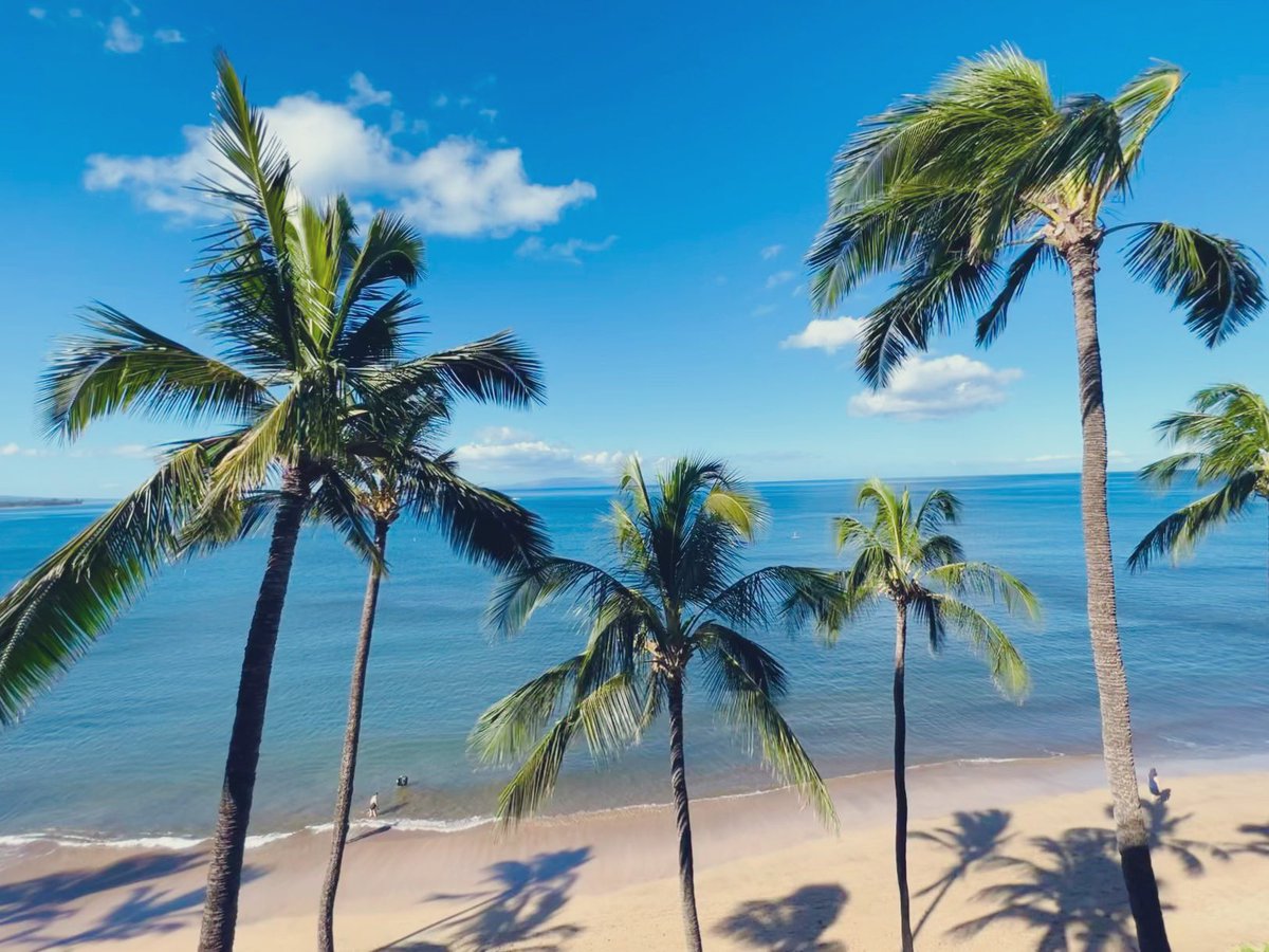 💎🫶🏼🏝️🌺💦