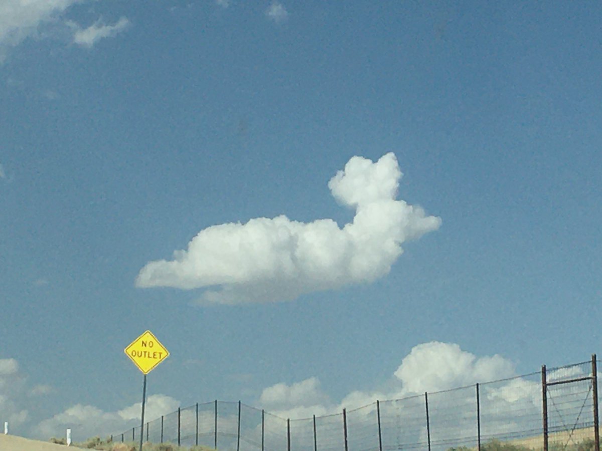 👀➡️ #nooutlet #gazettefilter 💭👉