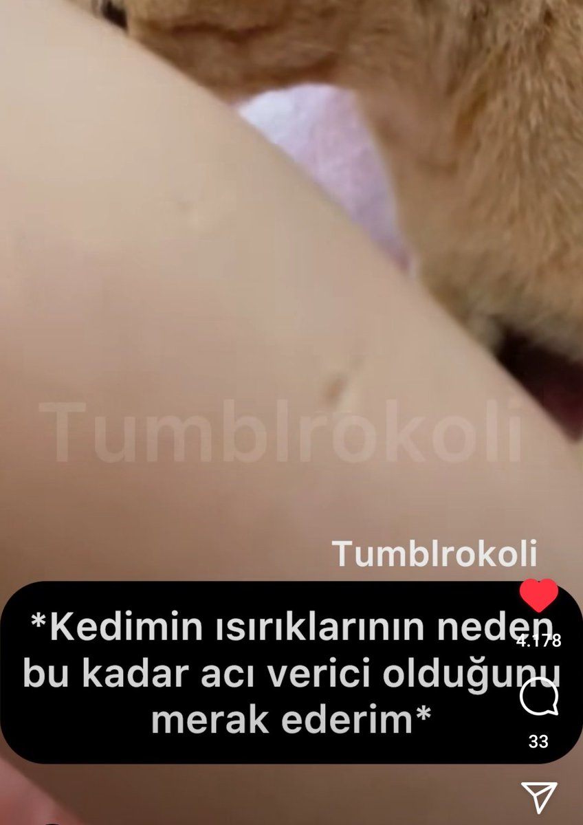 cobranazli's tweet photo. öğrenince ağlamaktan hastanelik olduğum o bilgi.. https://t.co/5ZG66Cqtow