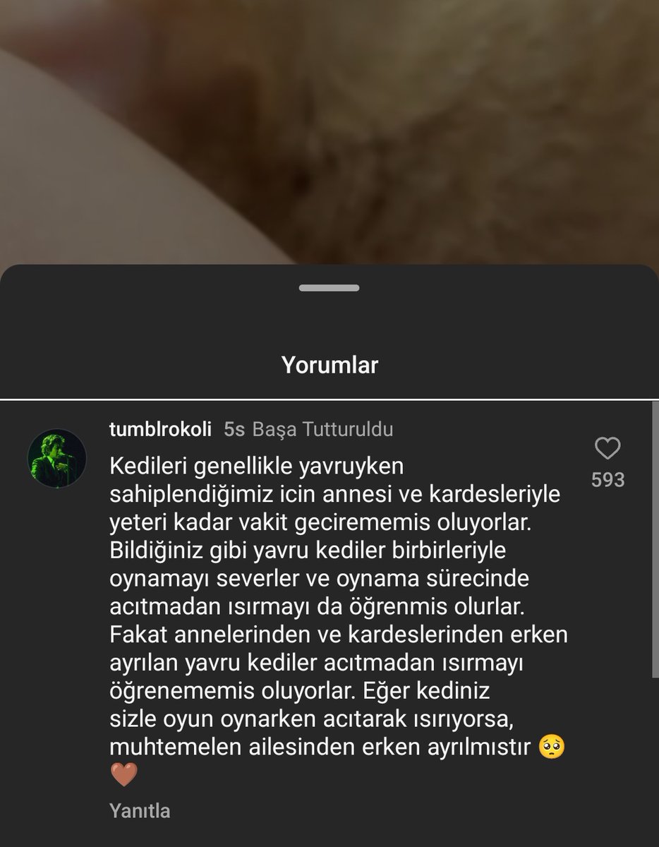 cobranazli's tweet photo. öğrenince ağlamaktan hastanelik olduğum o bilgi.. https://t.co/5ZG66Cqtow