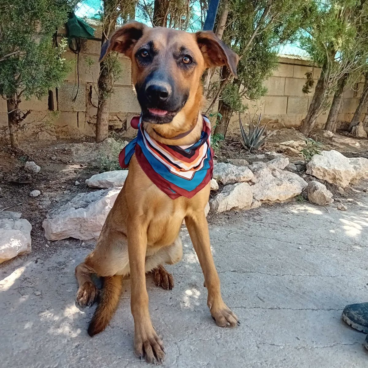 Esmeralda
facebook.com/media/set/?set…