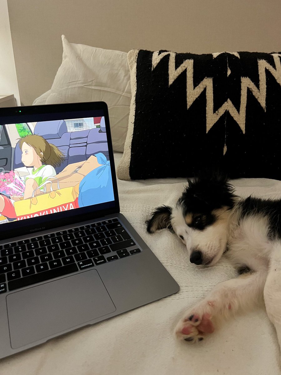MarcCarcamo's tweet photo. @ghiblipicture Saturday mood https://t.co/jptFXnJsXC
