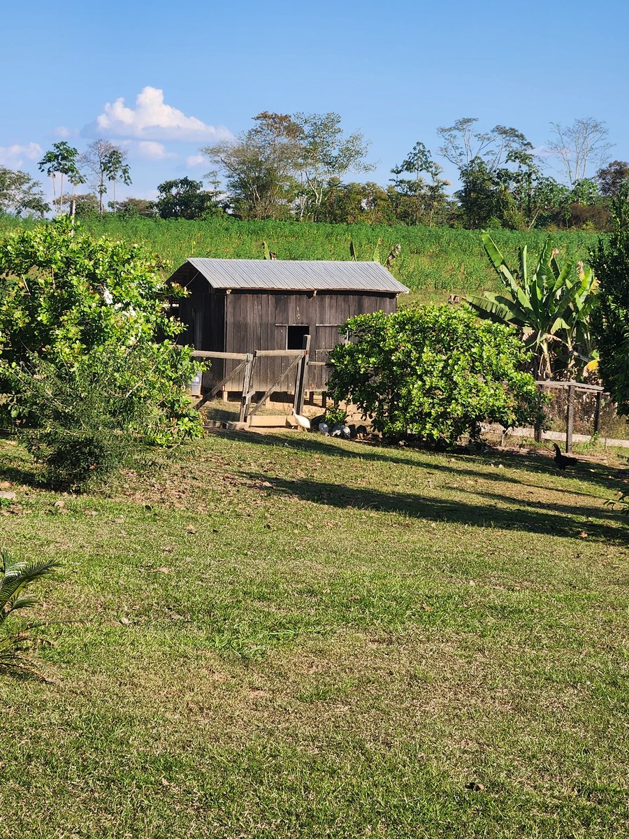 AnaErlene2012's tweet image. There is a #little house where the #fish and #poultry feed is kept. 
Yes. It has @Starlink