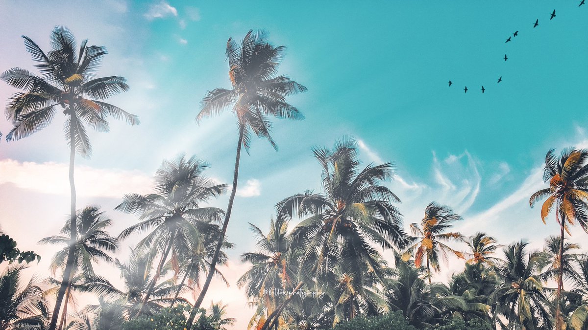 b2kipho2graphy's tweet photo. @MrWhoCapture @earthcurated @iTheFelizer @BraydenCreation @viewbug @platouxx @palms2peaks #GoodMorning https://t.co/vcZCdH0vbt