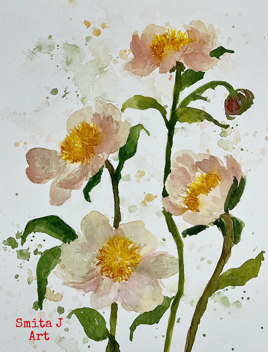 Peonies in bloom,
Summer's vibrant colors dance,
Flowers grace the day 🌸

#watercolorflorals #watercolorfloral #watercolor #loosebrushstrokes #loosefloraldesign #loosefloralart #floralart #floral #summer #August