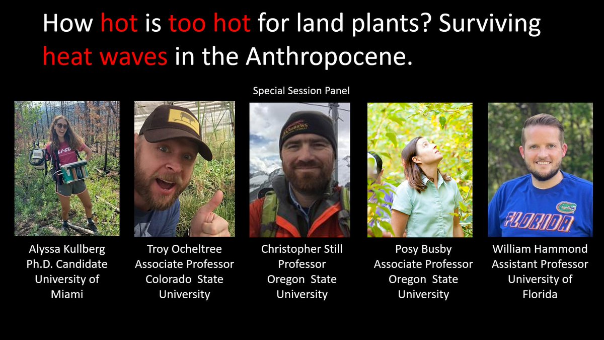 wmhammond's tweet photo. Headed to #ESA2023? On Wednesday, join our special session on plant thermal limits and surviving heat waves in the Anthropocene, in room D135, from 1:30P-3:00P! After an overview &amp; intros, this will be a "Town Hall" style session w/ panel, so please come add to the discussion! https://t.co/lg7cL9zq8I