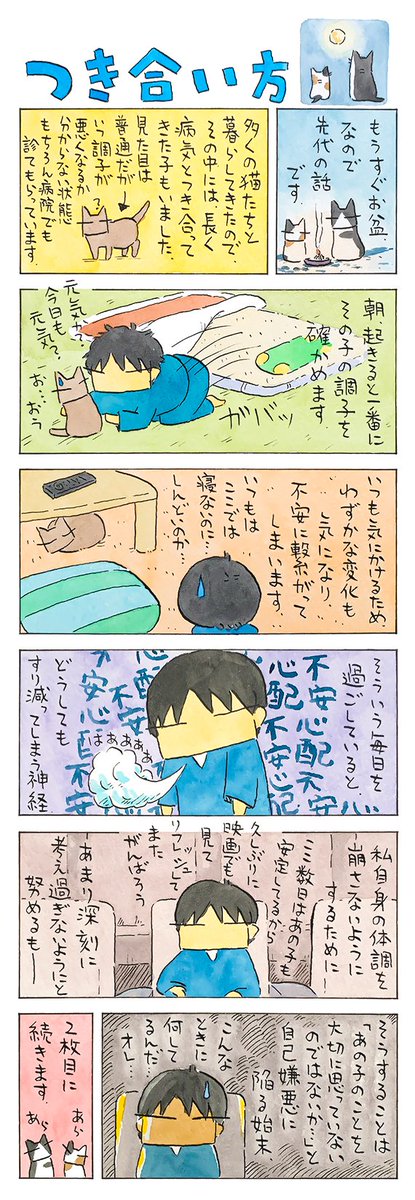 お盆の時期に│フェリシモ猫部 