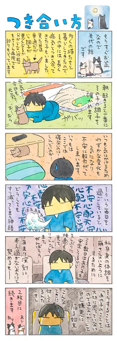 お盆の時期に│フェリシモ猫部 