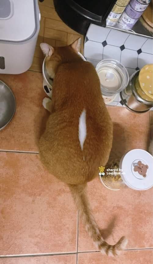 ulat_bulu_bulu's tweet photo. Baju terkoyak sikit sebab dah gemuk :( https://t.co/t0qBJE3yzS