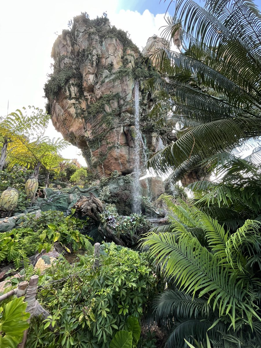 The adventure continues

- Always enjoy yourself

- Don’t waste time hating and complaining