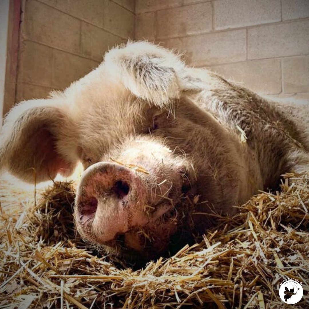 HEEFS_'s tweet photo. Love you to the moon and back. 

#RememberingDan #CaptainDan https://t.co/uJaz5Ajpe6