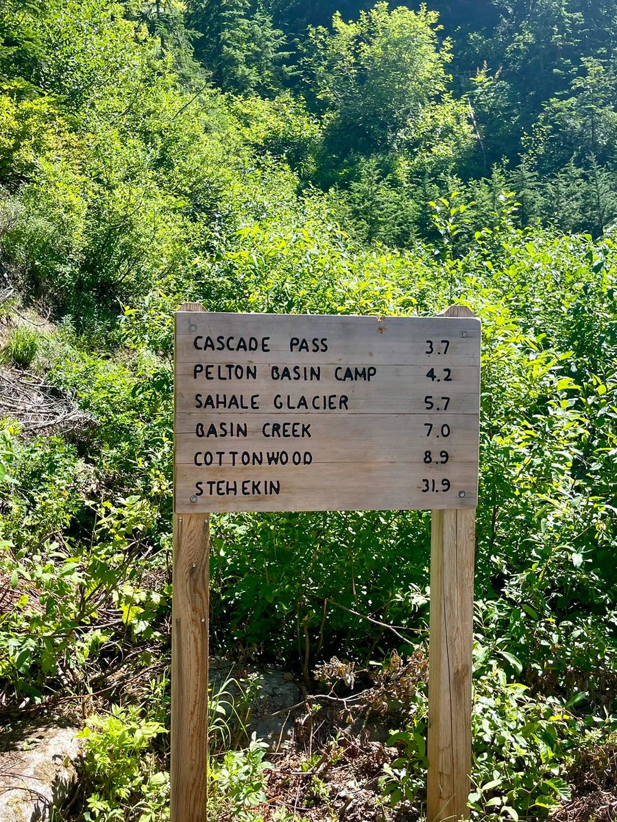 daversifier's tweet image. A great day starts with a hike. Early in the morning, the sun pours in through the windows, put on your comfy workout gear and get ready to go.🏃‍♀️📸 #hiking #adventure #enjoyment #nature #fun #life