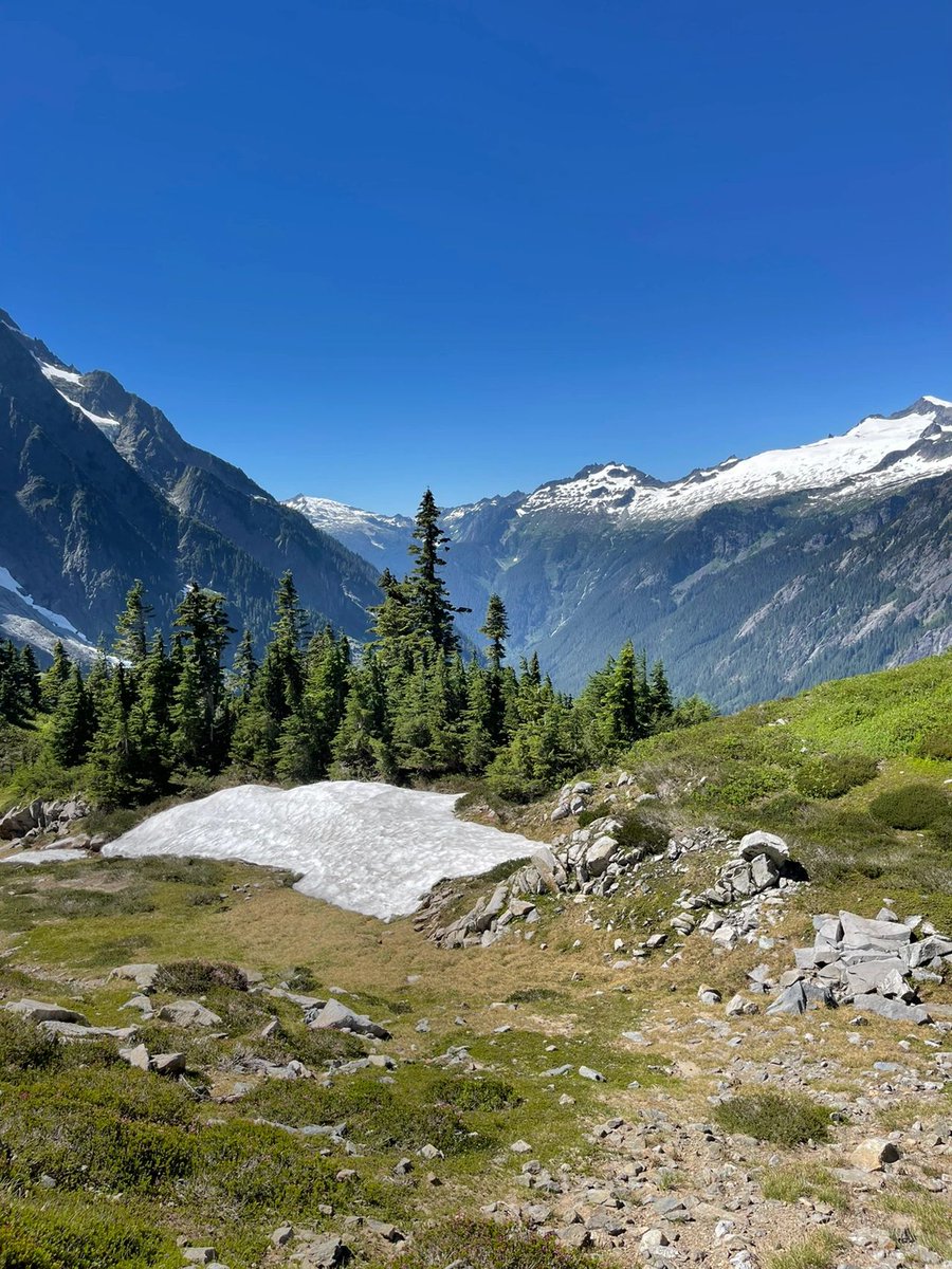 daversifier's tweet image. A great day starts with a hike. Early in the morning, the sun pours in through the windows, put on your comfy workout gear and get ready to go.🏃‍♀️📸 #hiking #adventure #enjoyment #nature #fun #life