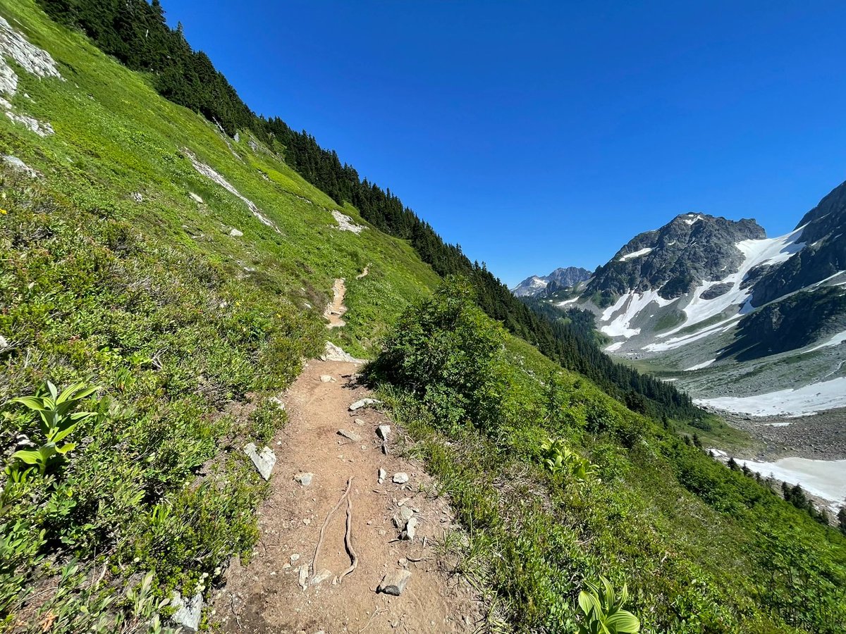 daversifier's tweet image. A great day starts with a hike. Early in the morning, the sun pours in through the windows, put on your comfy workout gear and get ready to go.🏃‍♀️📸 #hiking #adventure #enjoyment #nature #fun #life