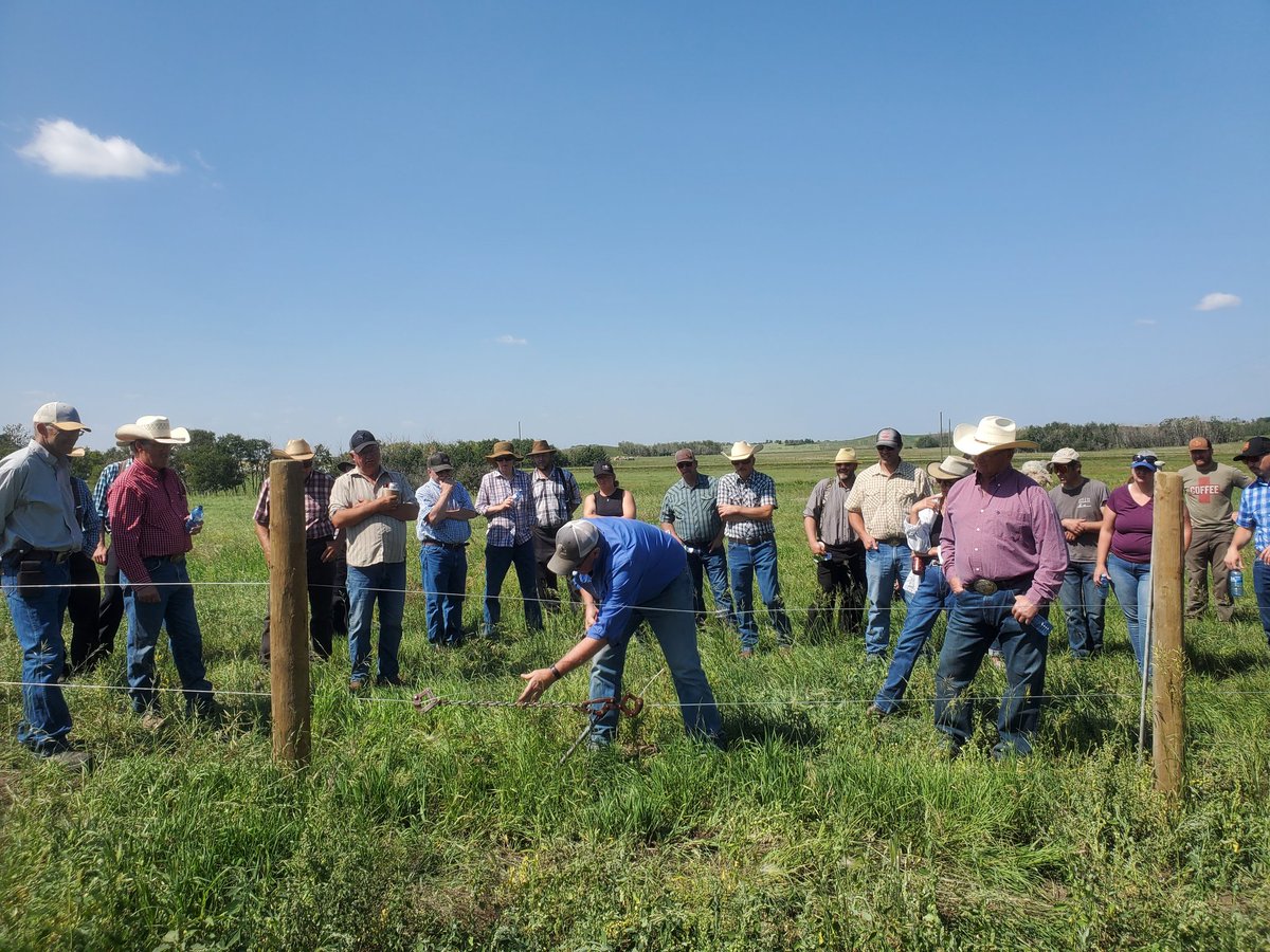 TM (@lazymbarranch) on Twitter photo Such a greatday for a sod seeding clinic at our place today. A huge shoutout to <a href="/bekkrause/">Rebekah Krause</a> at Wallaby Ag for not only organizing the day but being the wealth of information that you are! <a href="/GraemeFinn1/">Graeme</a> <a href="/GrantLastiwka/">Grant Lastiwka</a> this goes for both of you too! We are indebted to all 3 of you! Such a greatday for a sod seeding clinic at our place today. A huge shoutout to <a href="/bekkrause/">Rebekah Krause</a> at Wallaby Ag for not only organizing the day but being the wealth of information that you are! <a href="/GraemeFinn1/">Graeme</a> <a href="/GrantLastiwka/">Grant Lastiwka</a> this goes for both of you too! We are indebted to all 3 of you!