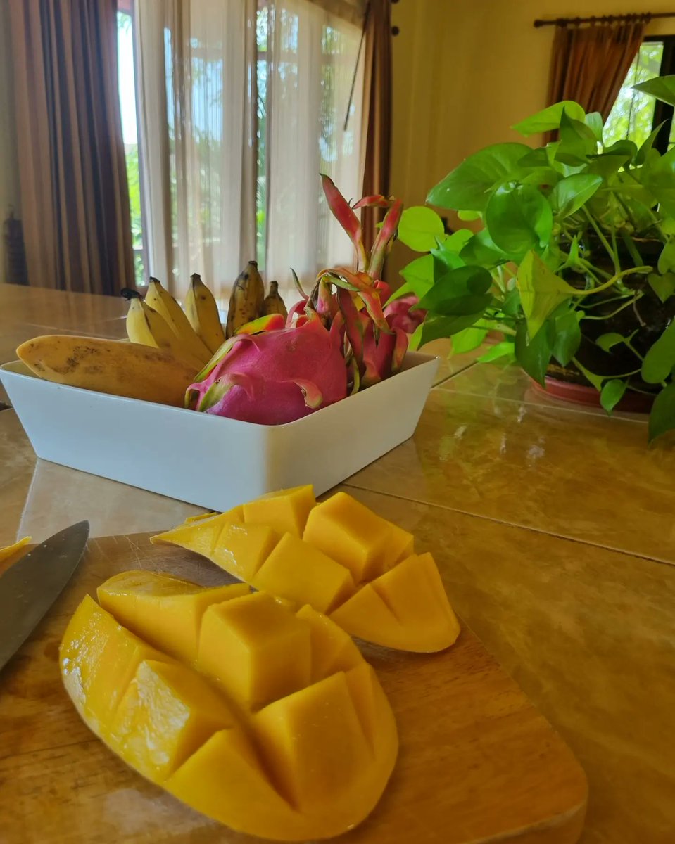 _traveleatsleep's tweet photo. What's your favourite fruit? We're both agreed that Thai mangoes take the number 1 spot 🥭🥭 

#travel #travelblogger #Thailand https://t.co/RnEqX28KSp