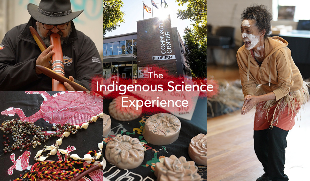NISEP (@nisep01) on Twitter photo Please join us for the Indigenous Science Experience Program <a href="/Aus_ScienceWeek/">NationalScienceWeek</a>, with webinars, weaving workshops and our Community Day at the Redfern Community Centre, there is so much to experience and learn. See nisep.org.au/indigenous-sci… for more information. Please join us for the Indigenous Science Experience Program <a href="/Aus_ScienceWeek/">NationalScienceWeek</a>, with webinars, weaving workshops and our Community Day at the Redfern Community Centre, there is so much to experience and learn. See nisep.org.au/indigenous-sci… for more information.