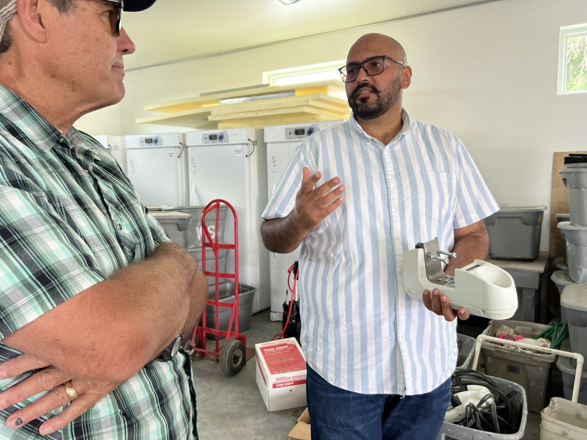 Did you know that at Montana State University, Southern Research Station, Lovreet @shergill_MSU is running HR screenings in kochia, lambsquarters and   Redroot pigweed?