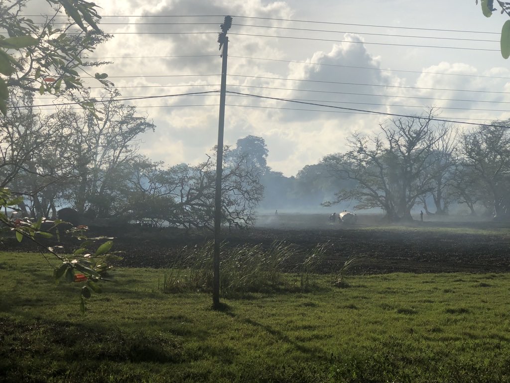 Sri Lanka has lost thousands of hectares of forest and wetland ecosystems due to planned fires in this drought season. While it is the season for preparing land for chena cultivation, main motivation behind most of these forest fires are land gabbing and poaching animals.