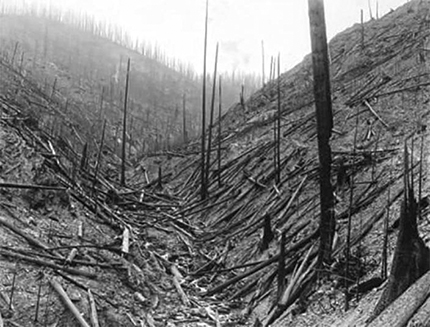 FireAviationNPS's tweet image. On #ThisDayinHistory in 1910, fires burned over 3 million acres, destroying numerous towns and killing 85 people across northern Idaho and western Montana. This day was known as “The Big Blowup.” Learn more: nwcg.gov/committee/6mfs… (USDA Forest Service photo)