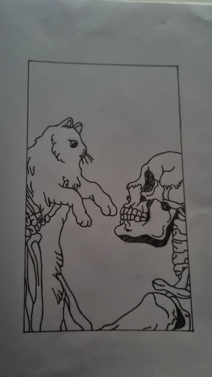 Some drawings I done on paper 🙂