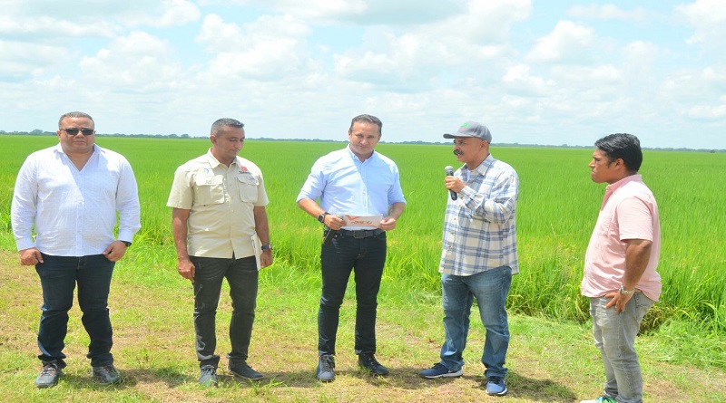 Ciclo de Siembra Invierno 2023 alcanza proyección de más 26 mil hectáreas

#EstaEsNuestraCultura

vtv.gob.ve/ciclo-siembra-…