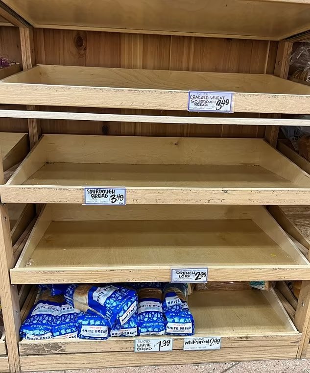 As Los Angeles residents prepare for Hurricane Hilary, they’re clearing the shelves. All the bread is sold out at this Trader Joe’s, except the white bread…Angelenos don’t eat that.