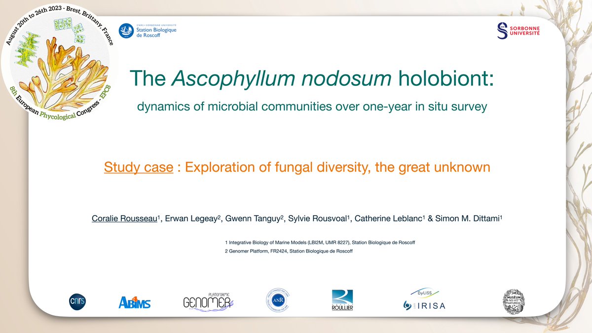 I would be glad to present you my PhD work concerning the holobiont of Ascophyllum nodosum and specifically  the exploration of its fungal diversity tomorrow at 10:30 am in SYM04 at #EPC8 !