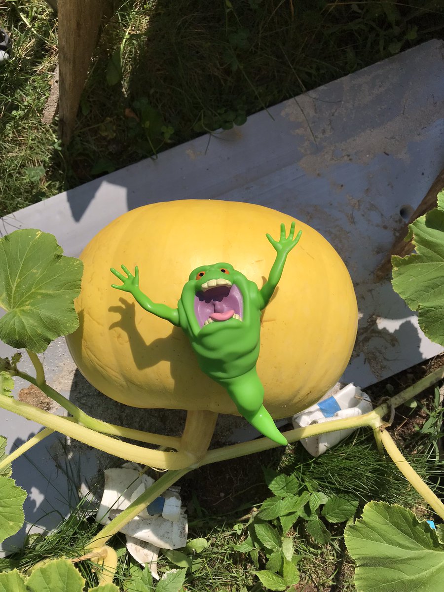 acres_creek's tweet photo. #halloweenallyear #halloween🎃 #hauntedhouse #everydayishalloween #halloweendecorations #halloweendecor #jackolantern #gianttomatoes #trickortreat #pumpkinpatch #vermont #morton1623 #giantpumpkingrower #pumpkinpatch #Fair #pumpkin #tomatoes https://t.co/qcYVxMNu1L