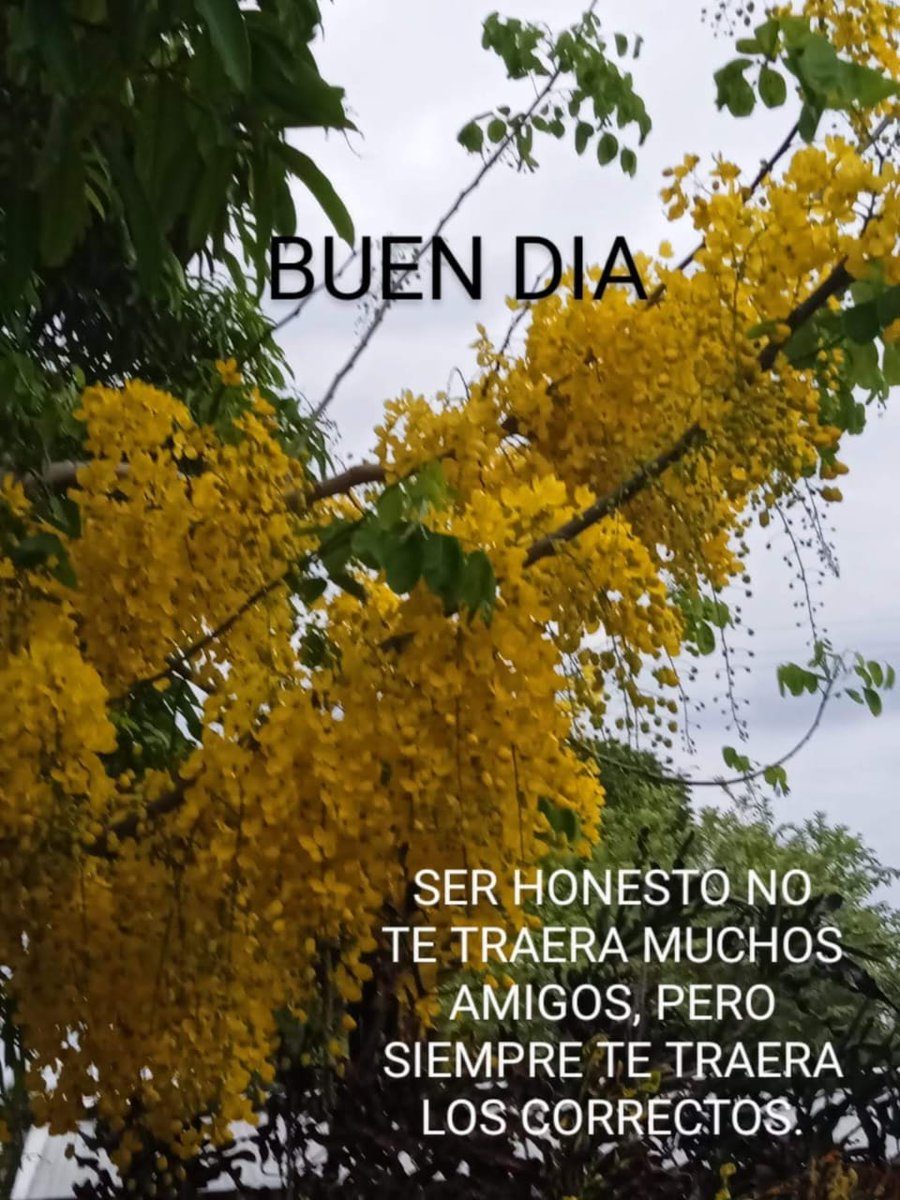 Sandra Mascota (@sandra_mascota) on Twitter photo 
