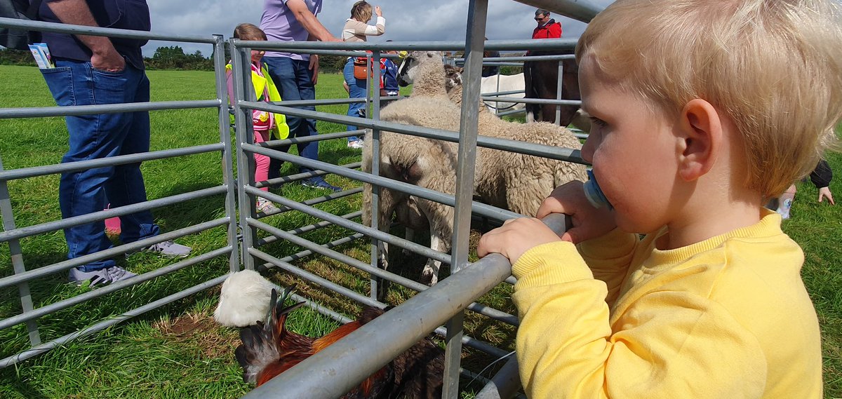 Fantastic family day at the @AgriAware open day. Great credit to the Fitzgerald family, brilliant ambassadors for agriculture. Well done to all involved. @Shanefitzy90