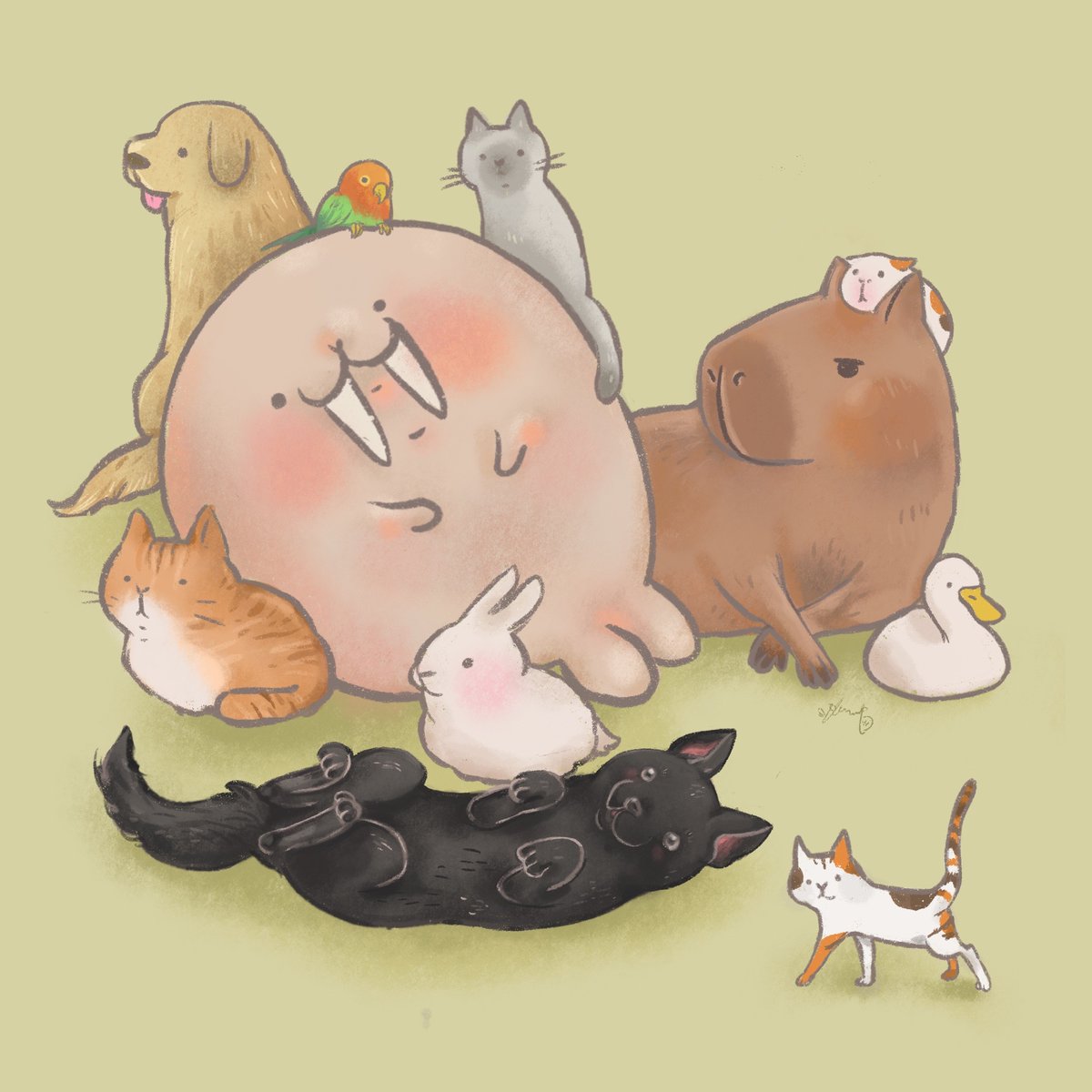 hell9247's tweet photo. 好想被動物包圍喔～～
＃我愛動物 #animal https://t.co/uUkXY7u1BR