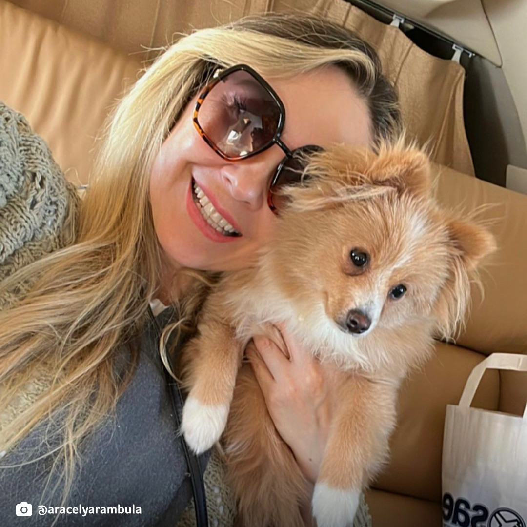 TelemundoIntl's tweet photo. Nuestra doña adorada, además de ser hermosa y tener mucho talento, también predica el amor por los más peluditos 🥰 ¿Cómo no amarla? 
📷: @aracelyarambula https://t.co/Y9qSdVGU13