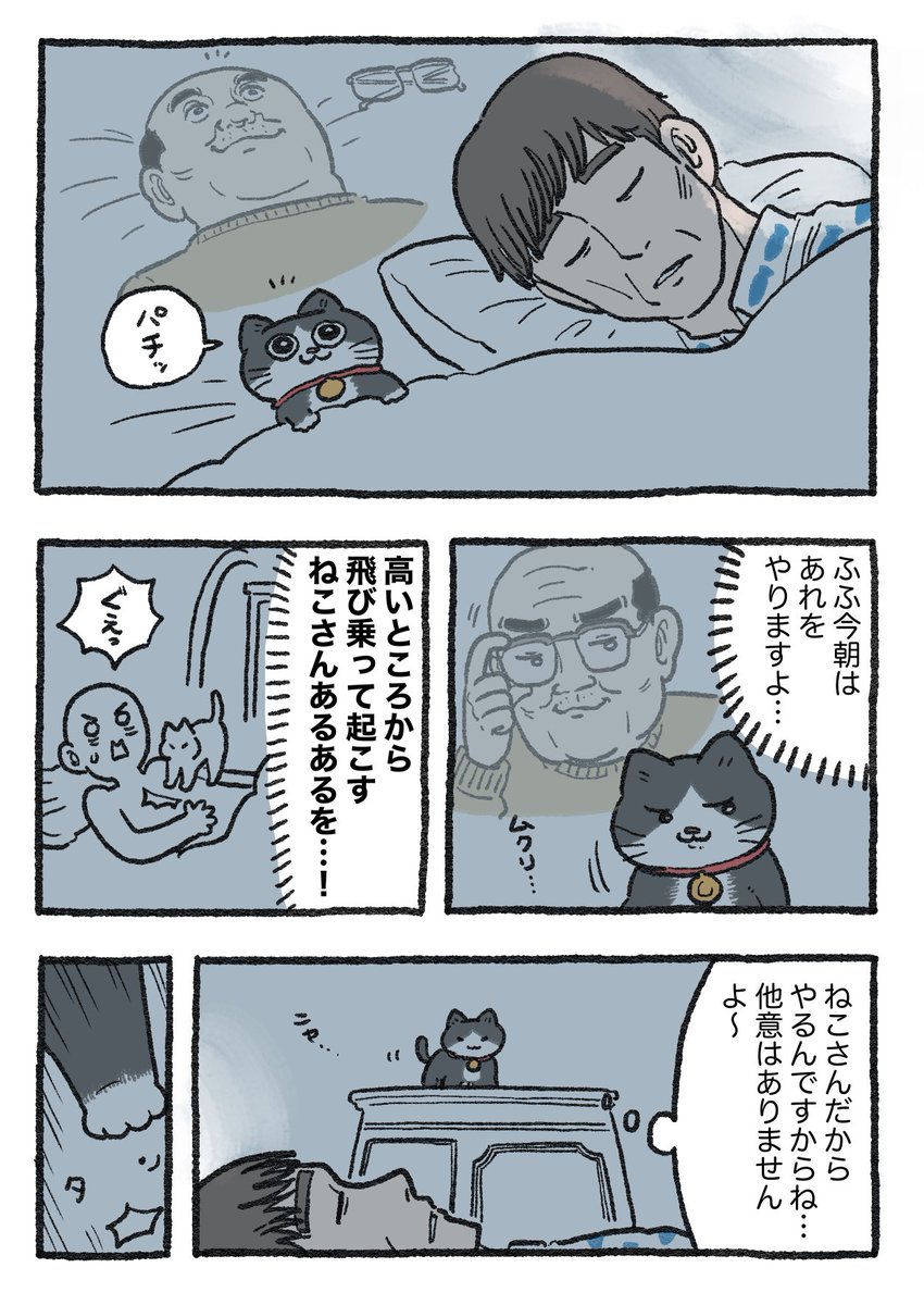 ねこおじ様 ねこに転生したおじさん。その197