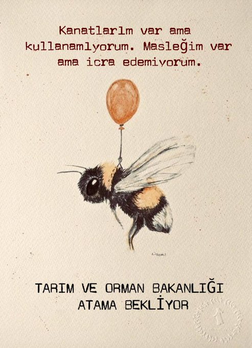 TOB'a atama bekleyen mezun kesim canla başla sahada, çabalarımızı görüyorsunuz. Bu çabaya sessiz kalmayıp yüksek sayıda alımla bizlerin gönüllerini ferahlatacağınıza inanıyoruz. #AralıktaYumaklıMüjdesi