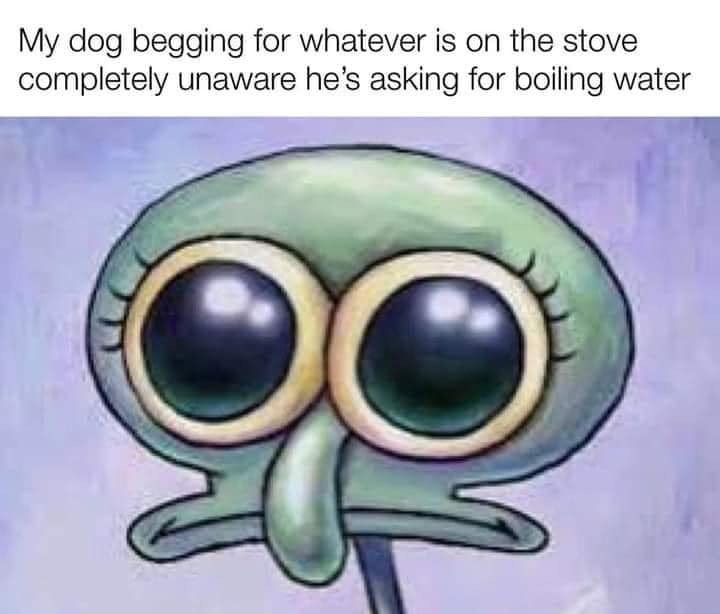 ShitpostGateway tweet media
