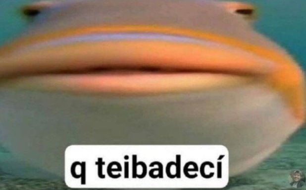 yo a mitad del audio que te estoy mandando