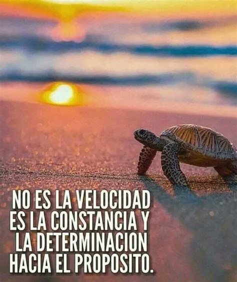 karmoles (@karmoles) on Twitter photo 