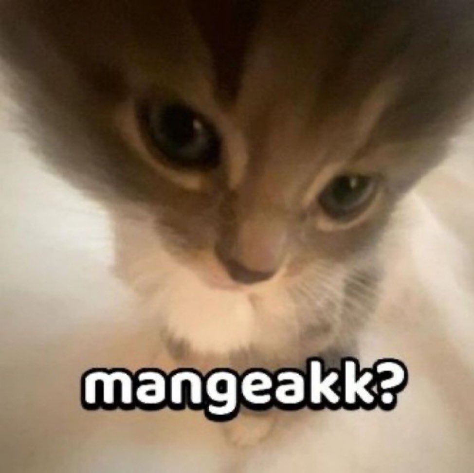 M E A N O. tweet media