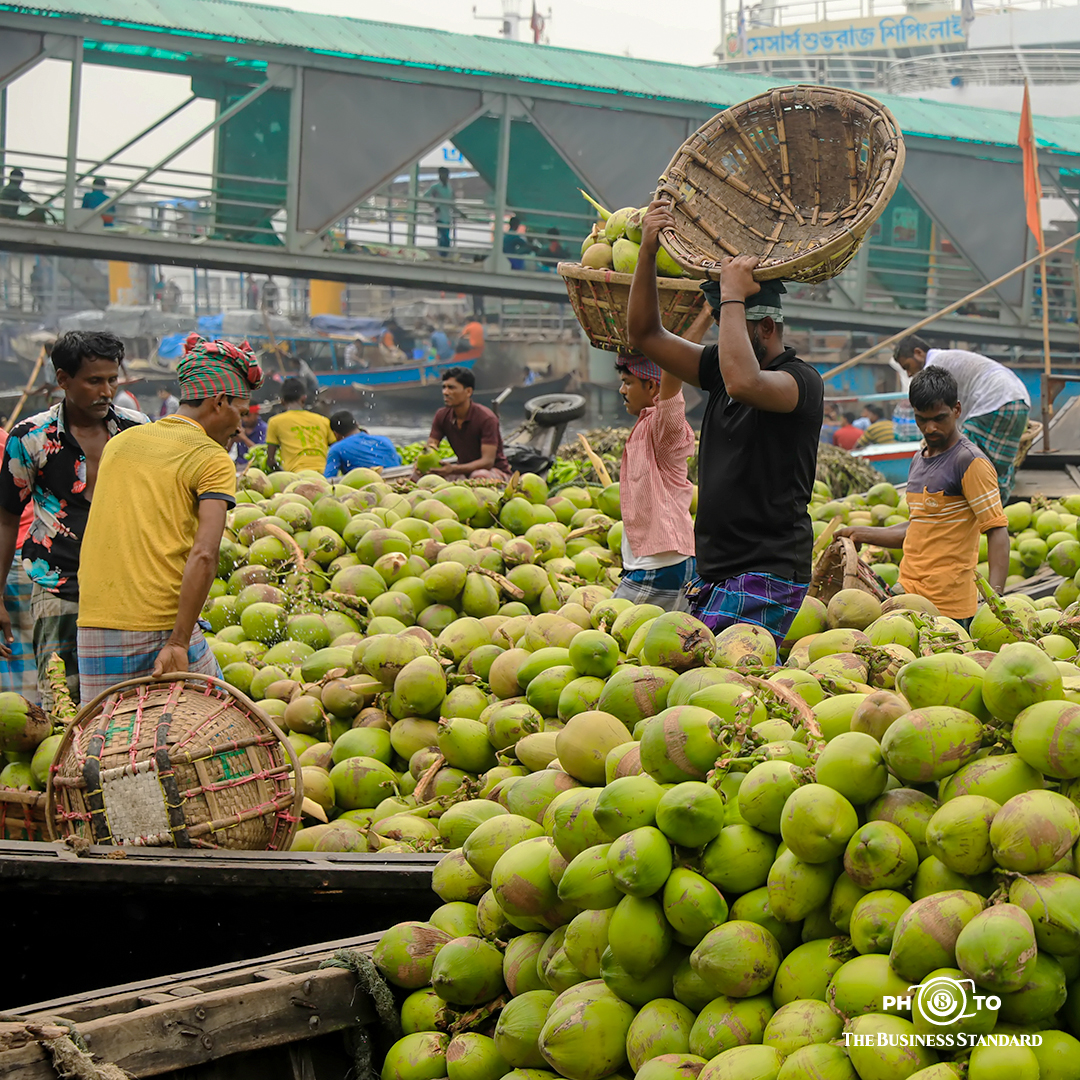 tbsnewsbd's tweet photo. Coconut water in demand with dengue patients
Photos: Rajib Dhar/TBS
#coconuts #greencoconuts #coconutwater #DenguePatients #dengue #nutritiousdrink #olddhaka #photostory #TBSphoto #Bangladesh #TBSNews https://t.co/QVmFV6P6Jm