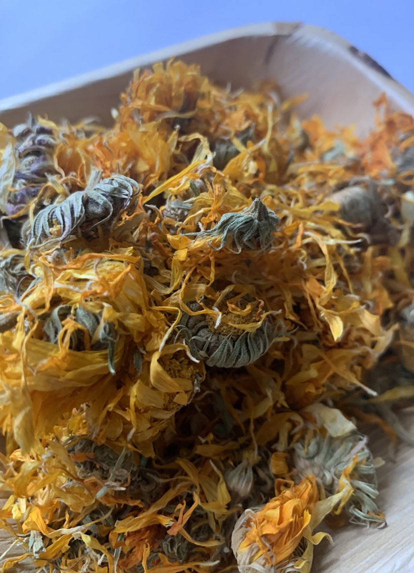 bunbox4's tweet photo. Tasty Marigold flowers available in 50g bags 💐

Perfect to sprinkle over forage or hand feeding 🐰

#bunbox #rabbitsofinstagram #bunnylove #houserabbit #rabbitlove https://t.co/dGraZjbTvZ